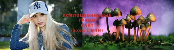 тгк Краснотурьинск