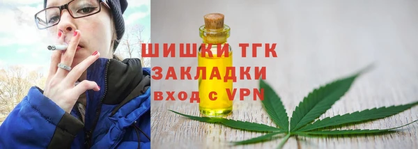 2c-b Краснослободск