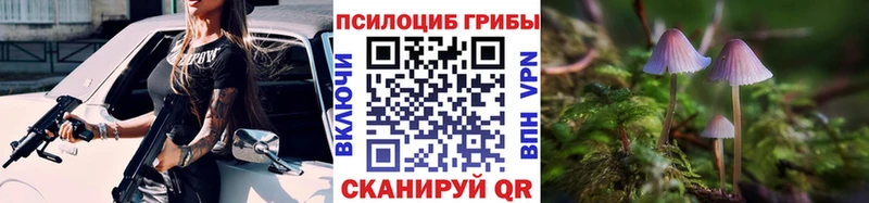 Псилоцибиновые грибы Psilocybine cubensis  Крым 
